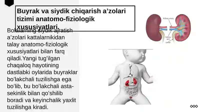 Chaqaloqlarda buyrak va siydik ajratish aʼzolari tizimini anatomo- fiziologik xususiyatlari va uning kasalliklari 3