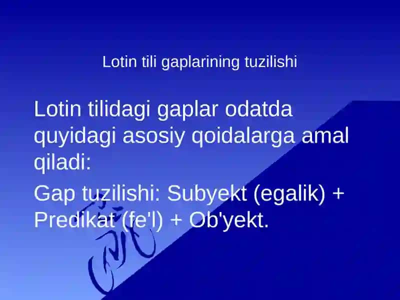 Lotin tili gaplarinining strukturasi 3