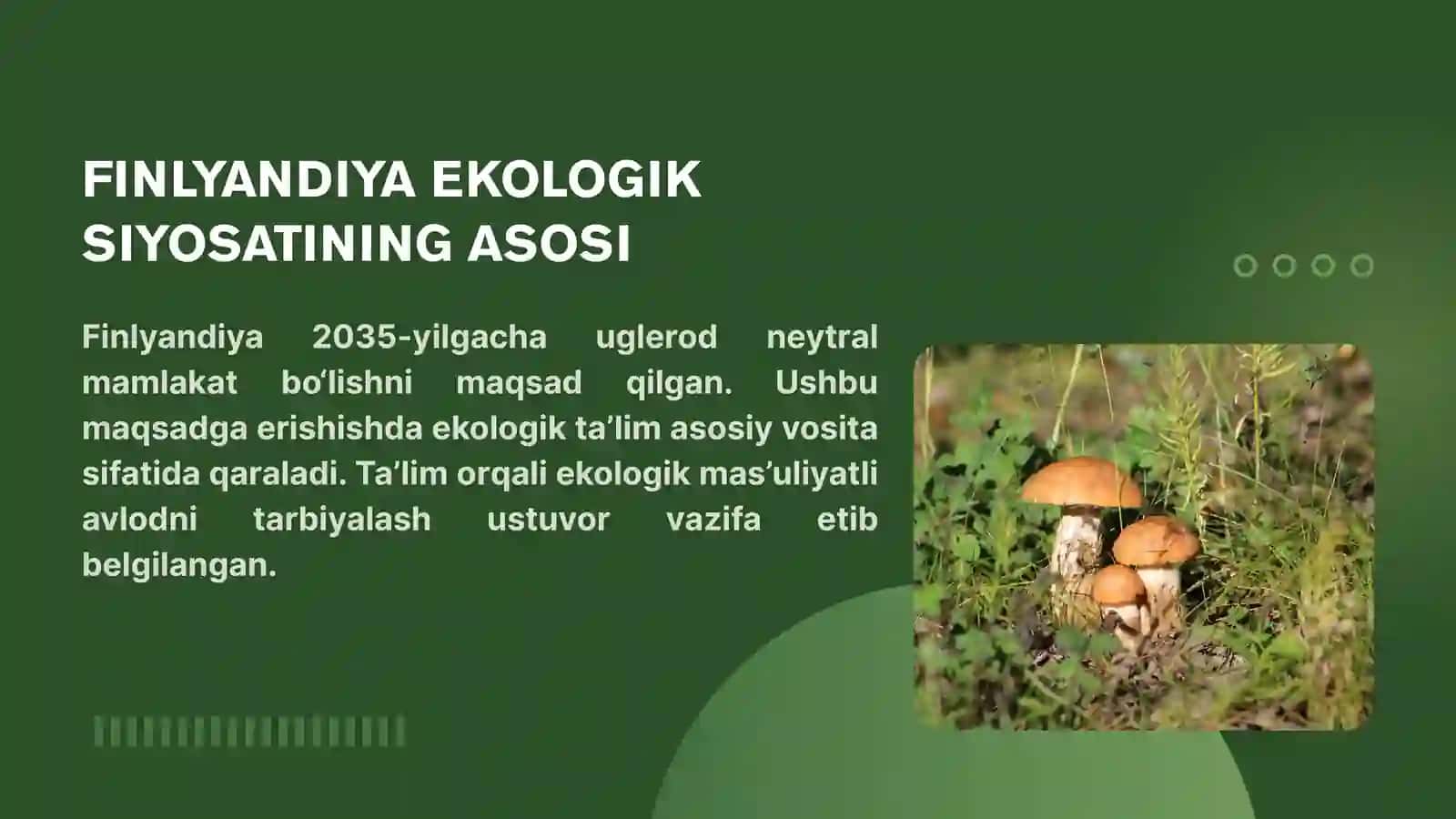 FINLYANDIYA EKOLOGIK TA’LIM VA TARBIYA TIZIMI 3