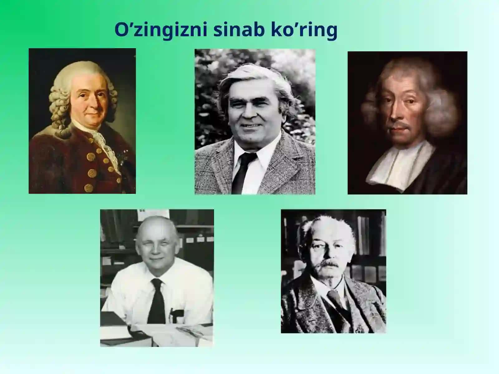 Yuksak sporali o‘simliklar sistеmatikasi.Yo‘sintoifalar (Bryophyta) bo‘limi 3