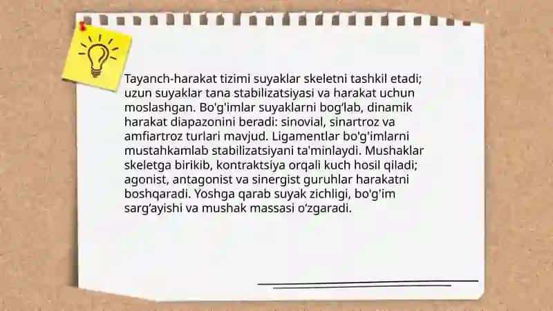 Tayanch harakat va muskul tizimi va uning yoshga xos xususiyatlari 3
