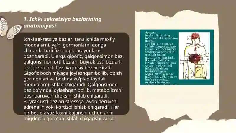 Ichki sekretsiya bezlari 3