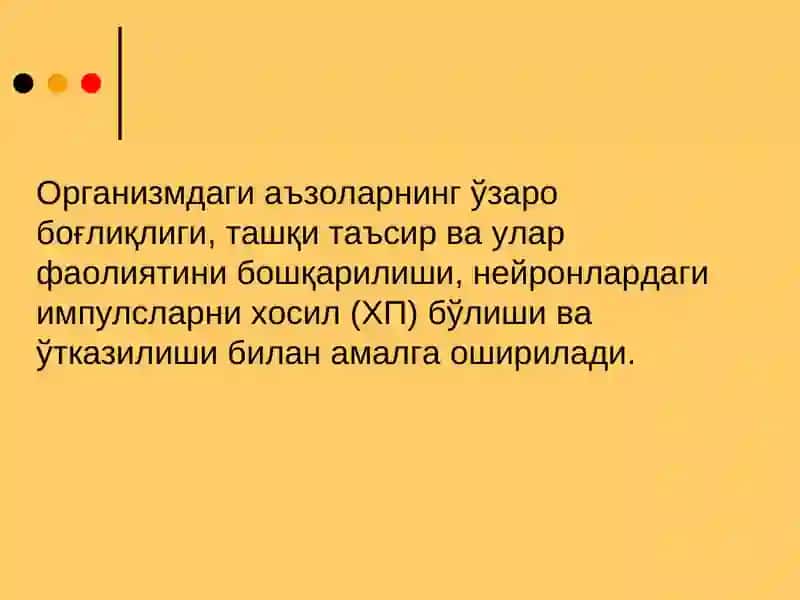 Асаб толаларининг ва синапсларнинг физиологияси 3