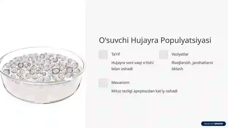Hujayra Populyatsiyalarining Turlari va Hujayra Oʻlimi 3
