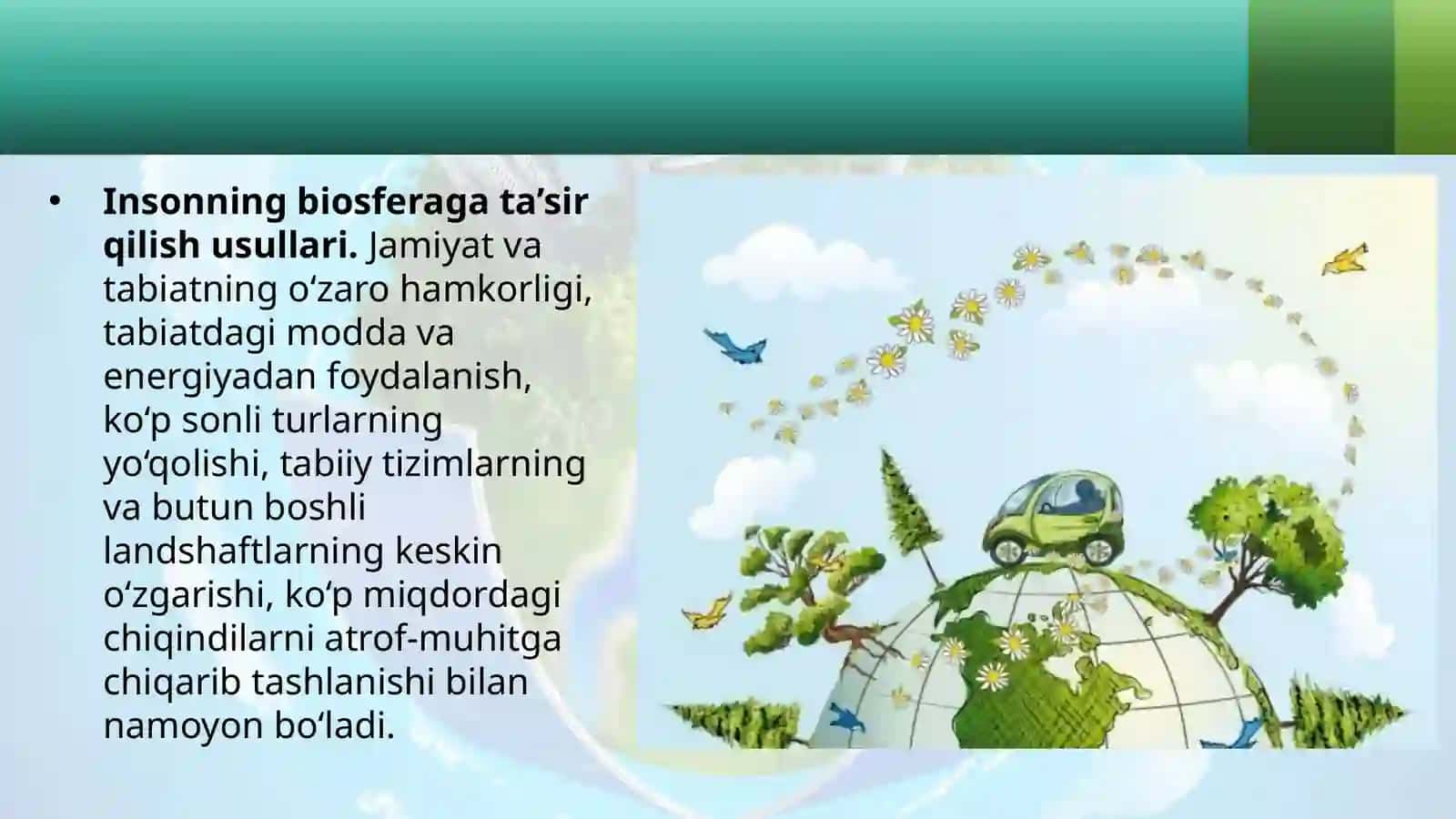 11-sinf BBiologiya Inson biosfera omili sifatida. Inson faoliyatining biosferaga ta'siri dars ishlanma 3