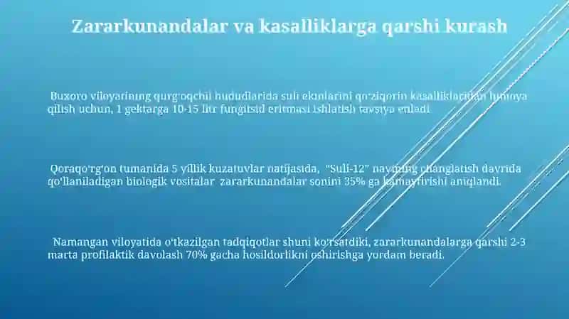 Suli yetishtirish tehnalogiyasi 3