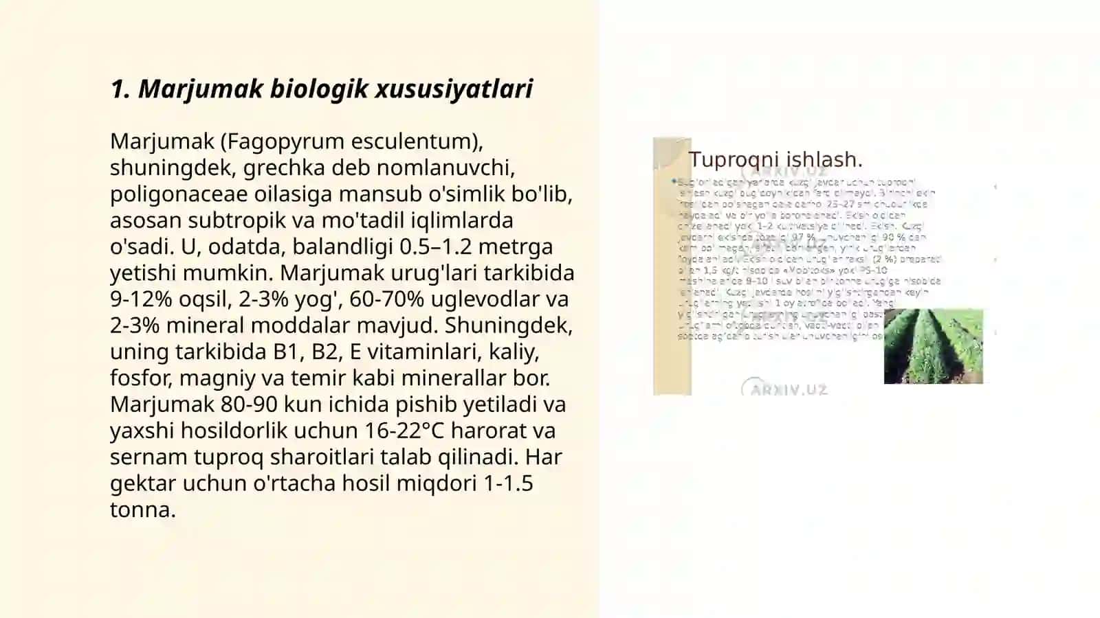 Marjumak biologiyasi va yetishtirish texnologiyasi 3