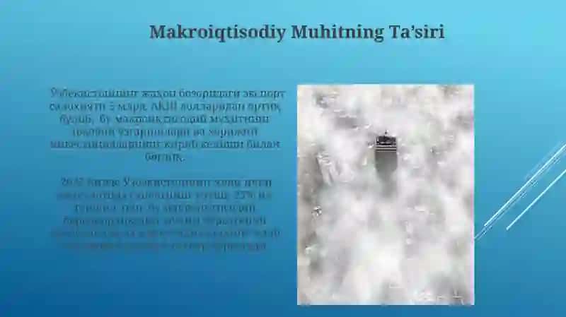 Real Sektor Rivojlanishining Asosiy Omillari 3