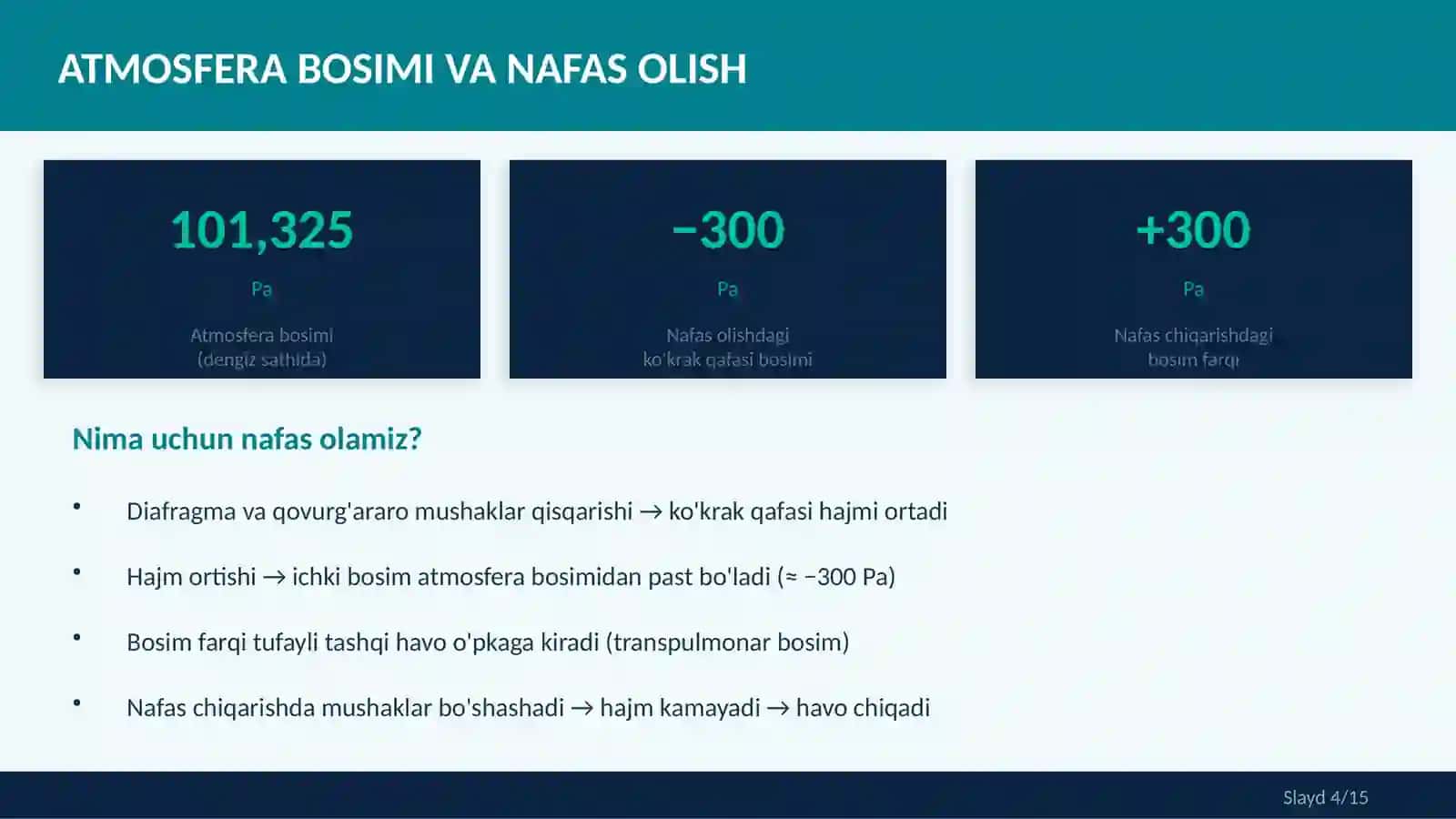 NAFAS OLISH SISTEMASI — TUZILISHI 3