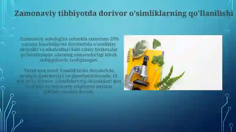 Dorivor o'simliklarning ahamiyati va tibbiyotda qo‘llanilishi 3