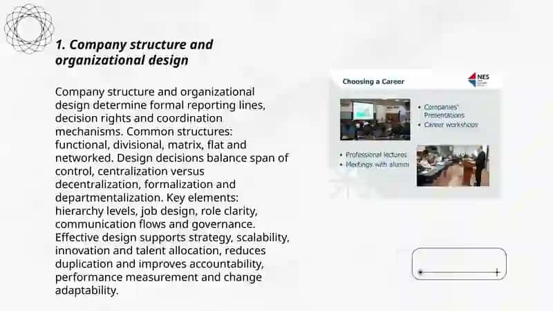 Company Structure and Organizational Design 3
