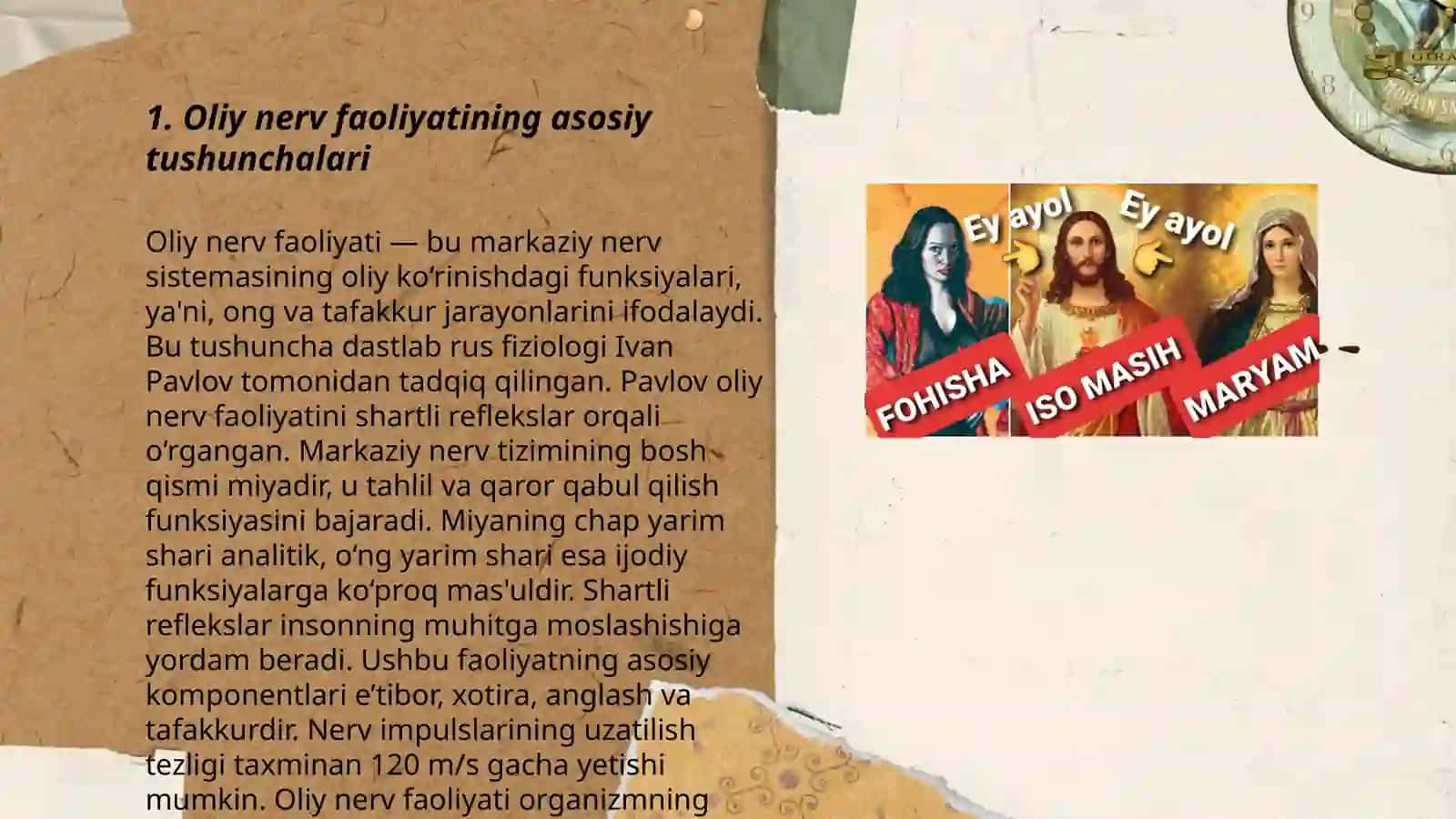 Oliy nerv faoliyati 3