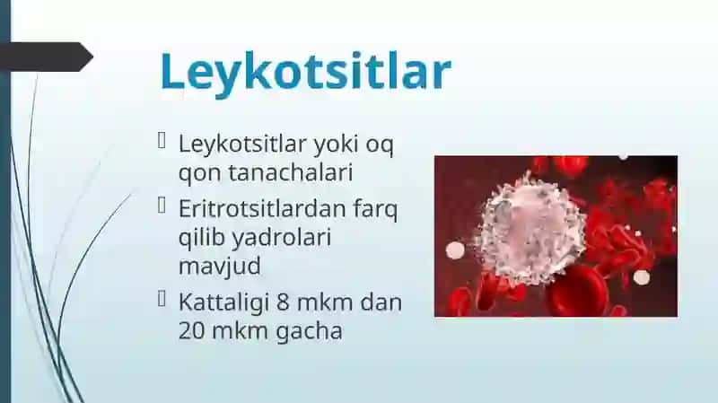 leykositlar 3
