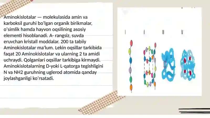 Aminokislotalar almashinuvi 3