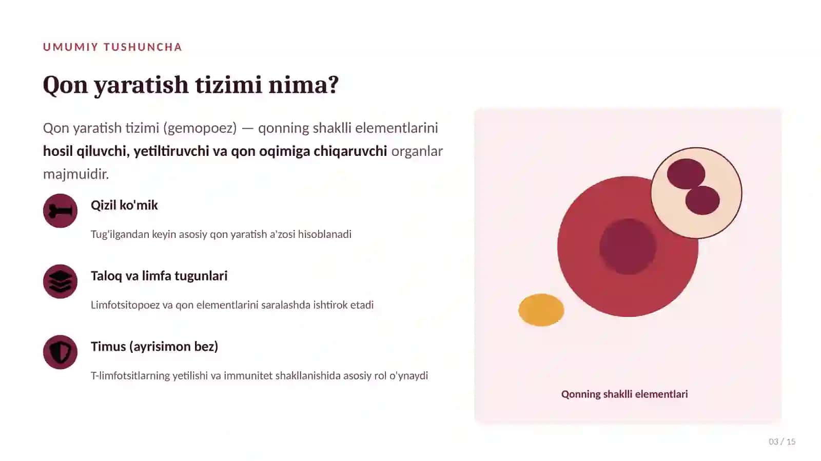 Bolalarda Qon Yaratish Tizimining Anatomo-Fiziologik Xususiyatlari | 15 Slaydli Tibbiy Taqdimot 3