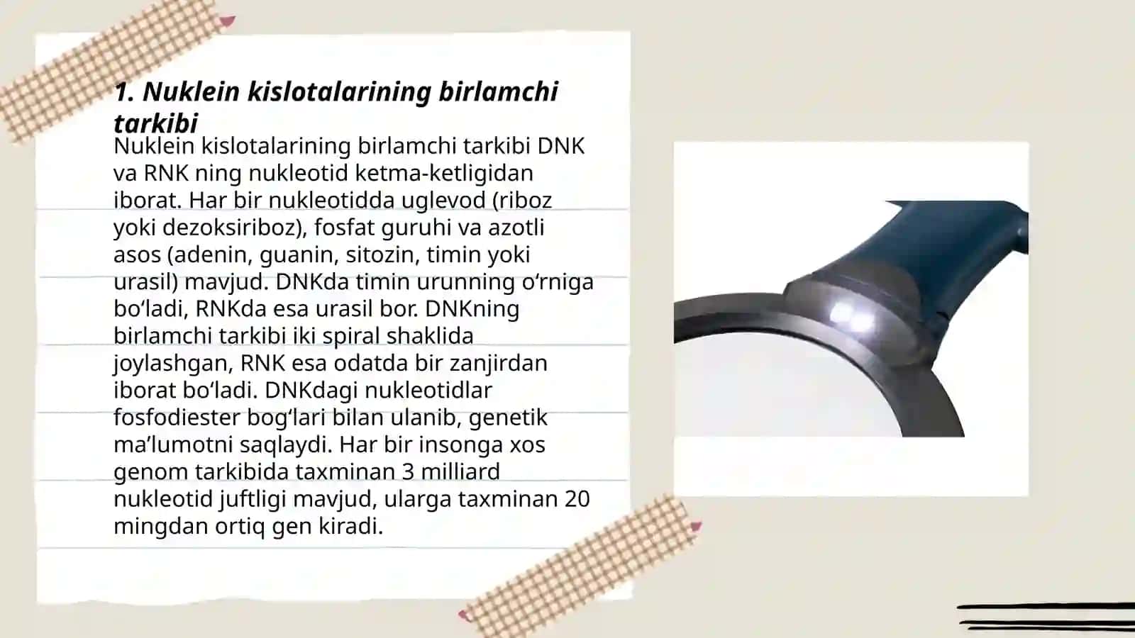 Nuklein kislotalarning birlamchi strukturasi. DNKning ikkilamchi strukturasini hosil bo‘lishida komplementarlik prinsipi. Chargaff qoidalari. DNK qo‘sh zanjirining tavsifi 3