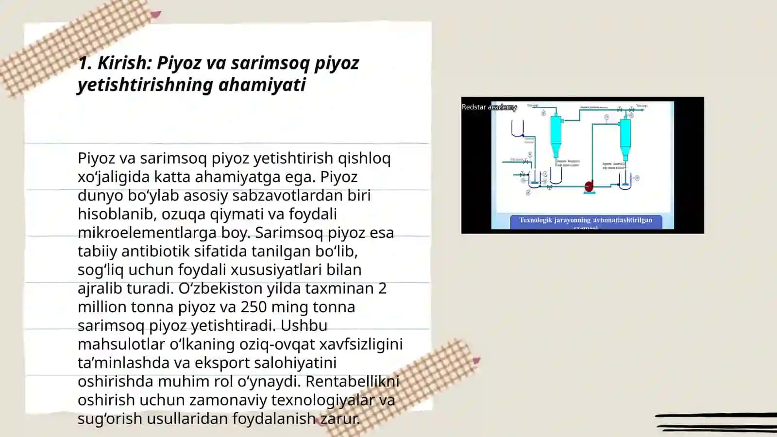 Piyoz va sarimsoq piyoz yetishtirish va xosilni yigʻish texnologik xarita tuzish texnalogiyasi 3