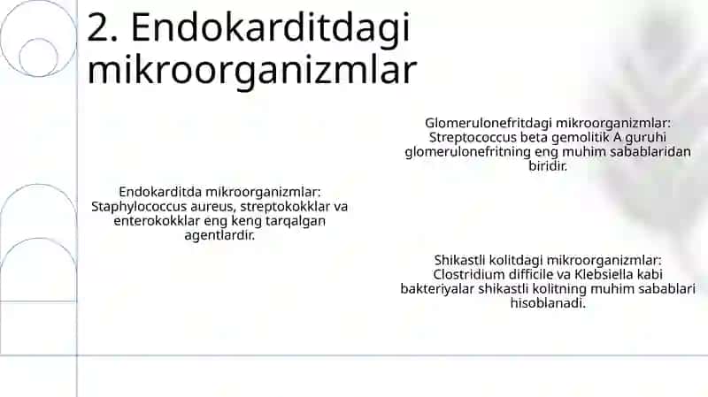 Glomerulonefrit, Endokardit, Yarali Kolitda Mikroorganizmlarning Ahamiyati 3