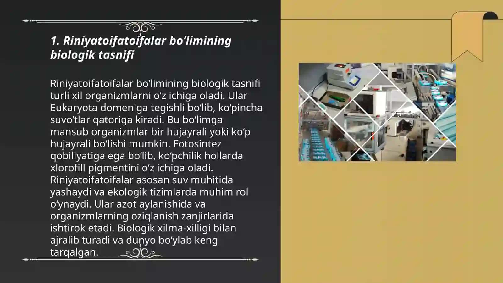 Riniyatoifatoifalar bo`limi sistematik o’rni,umumiy tavsifi va dolzarbligi 3