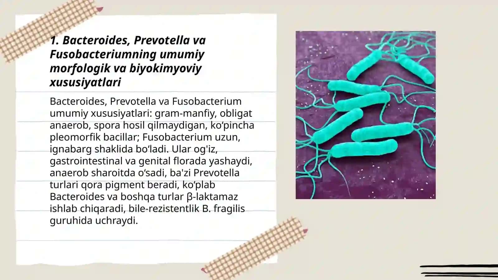 Patogen anaerob klostridial bo'lmagan infeksiya go'g'atuvchilari (Bacteroides, Prevotella, Fusobacterium) kasalliklar patogenezi, laborator tashhisi 3