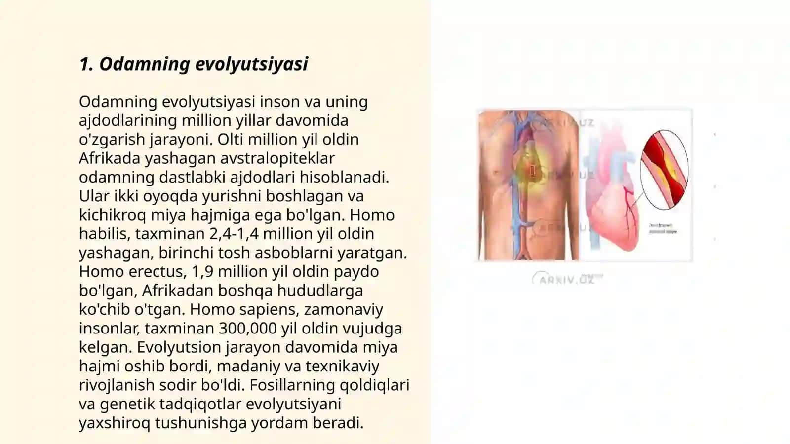 Odamning boshlangʻich ajdodlarining hayot tarzi va tarqalishi 3