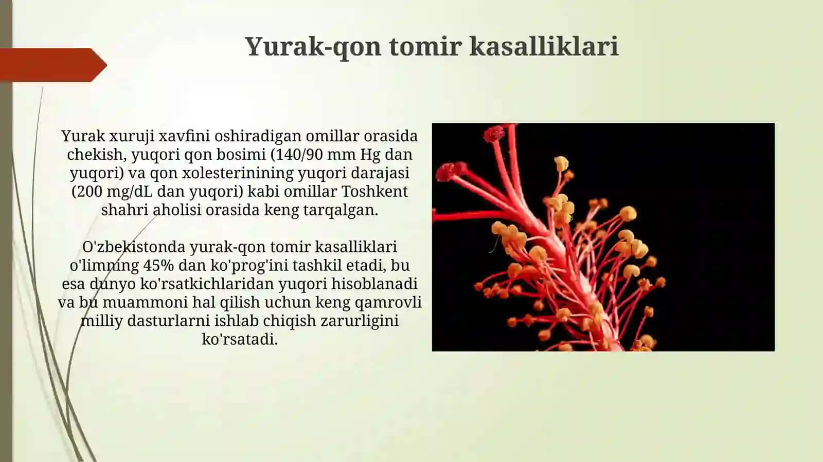 Changa oid patalogiyalar haqida tushuncha 3