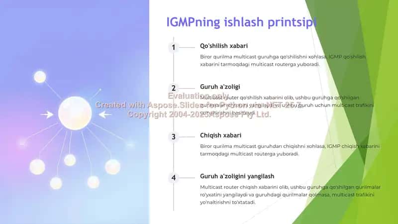 IGMP protokoli: tarmoqdagi ko'p translyatsiyani boshqarish 3