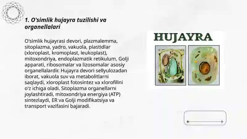 O'simliklar evolyutsiyasi va hujayra biologiyasi(sitologiya) 3