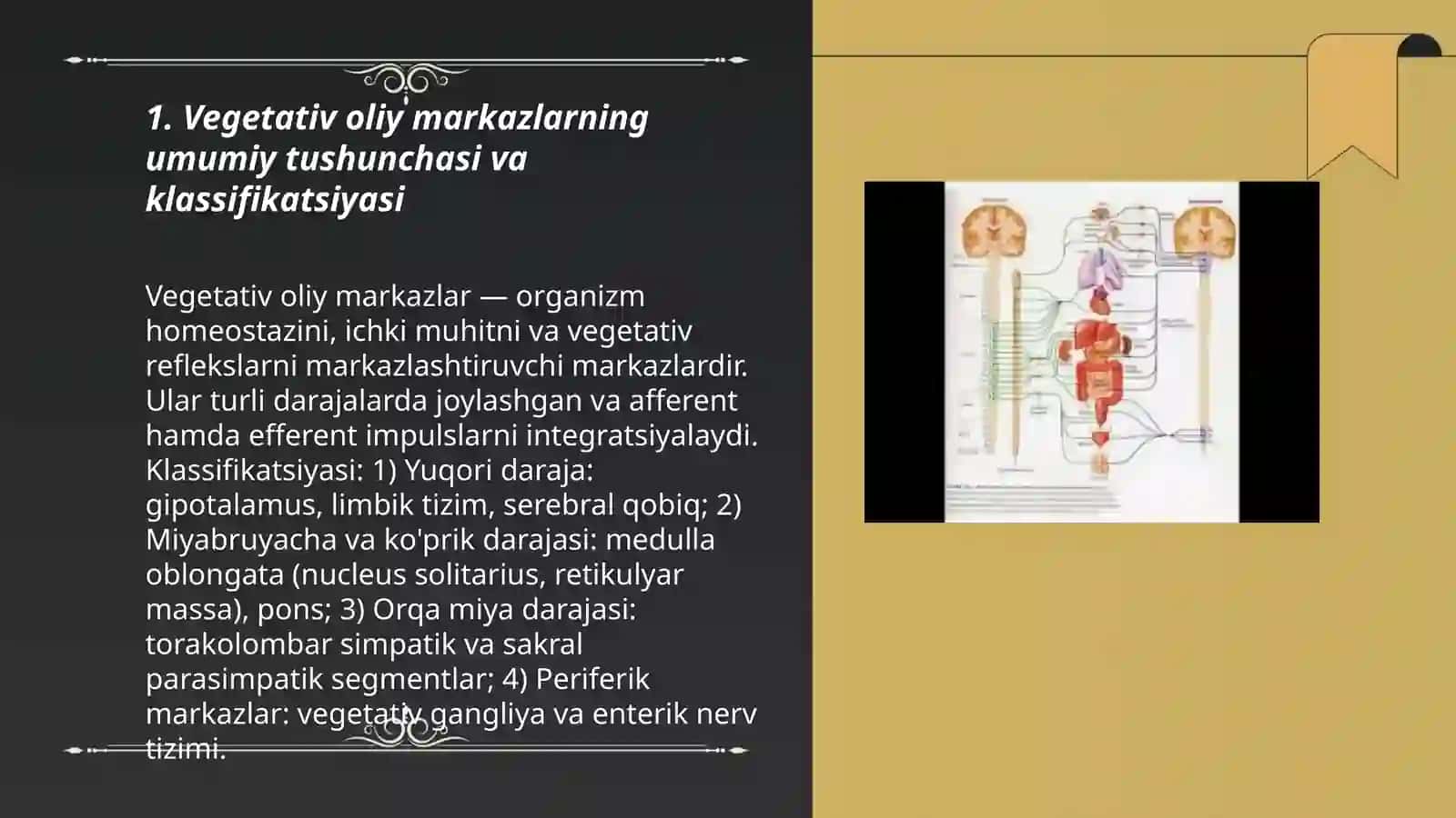 Vegetativ oliy markazlar va ularning funksional ahamiyati 3