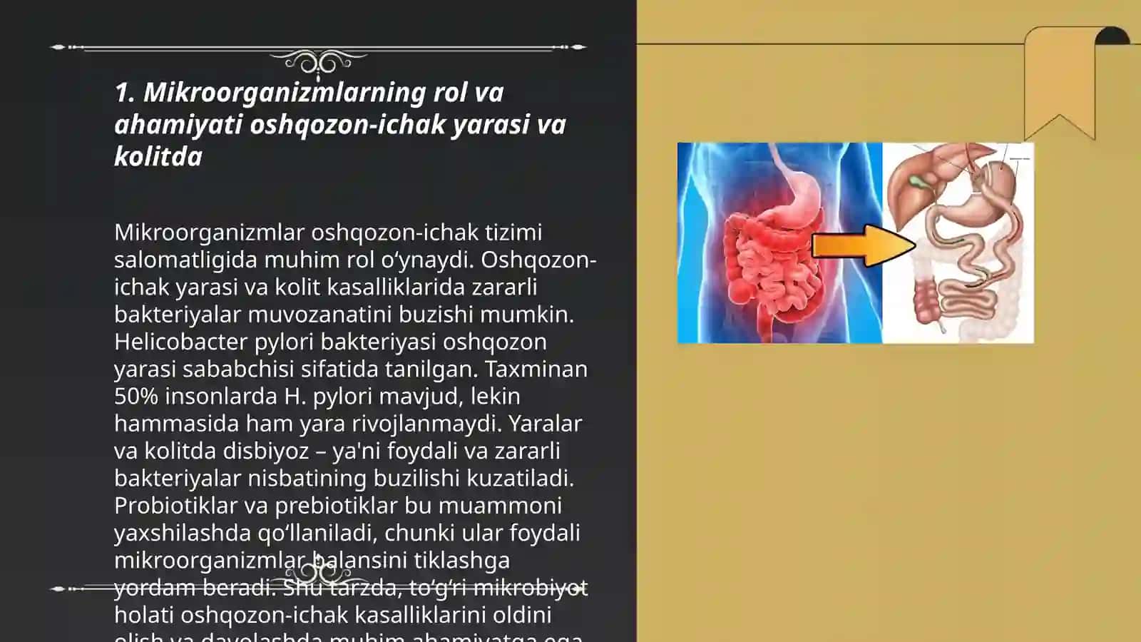 Oshqozon-ichak yarasi va kolitning mikroorganizmlarini o'rganish 3