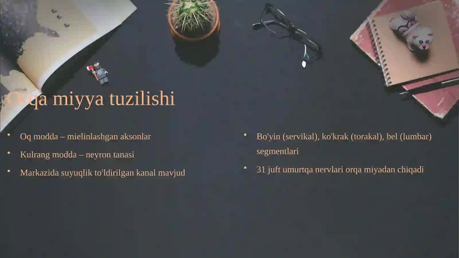 Orqa miyya va ularning roli 3
