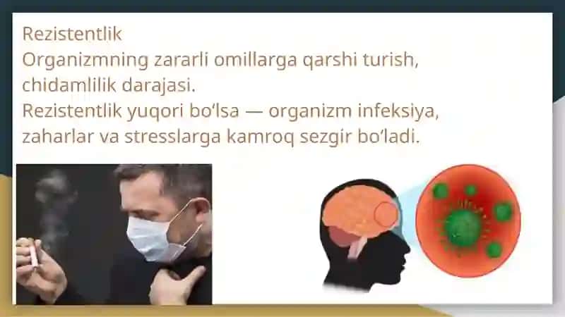 Reaktivlik va rezistentlikning shakllaniishida nerv va endokrin sistemasining roli. 3