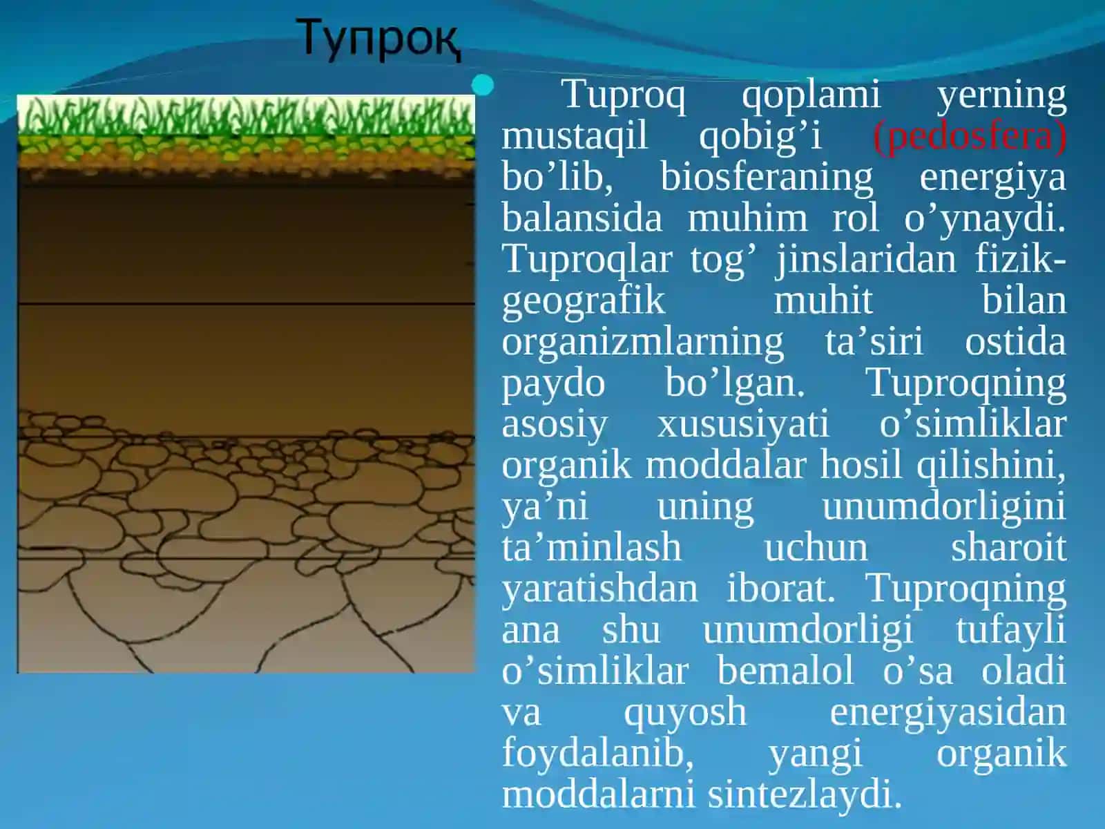 TUPROQNIIFLOSLANTIRUVCHIMANBALAR. TUPROQ MUHOFAZASI 3