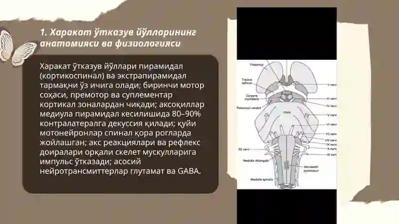 Харакат утказув йолларининг клиник ахамияти 3