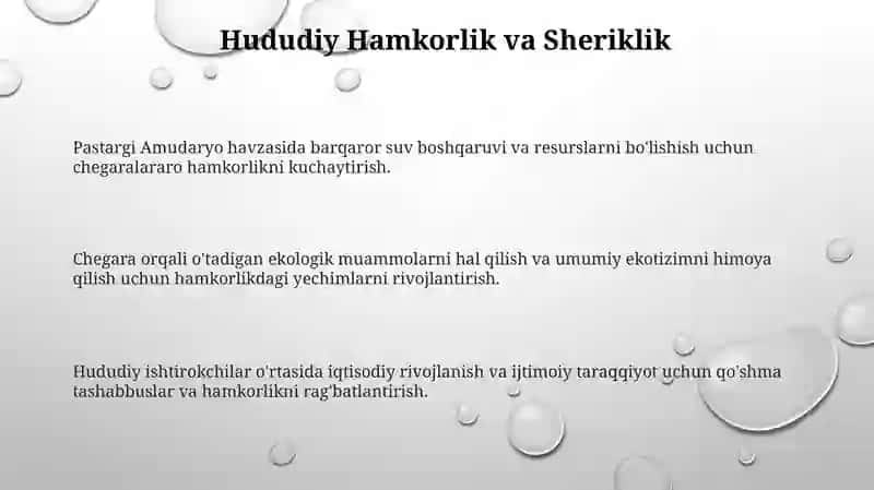 Pastargi Amudaryo havzasi ekologik muammolari va muammoli echotizimi 3