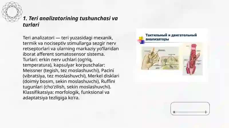 Sensor retsepsiya.Teri analizatori lokolizatsiyasini aniqlash 3