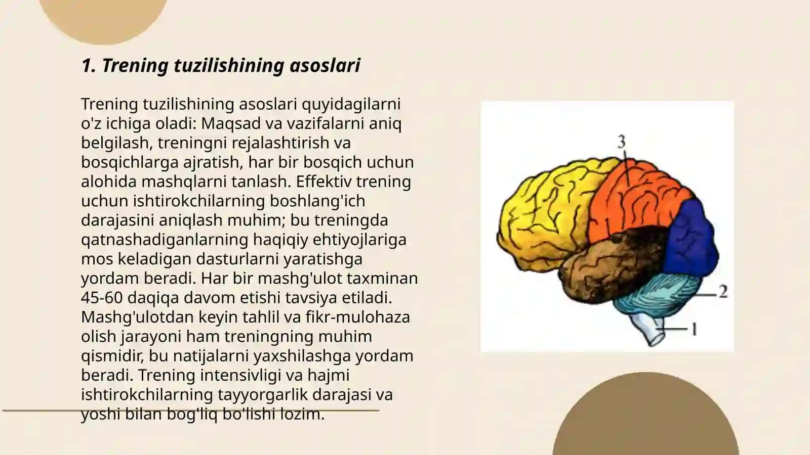 Trening Tuzilishi 3