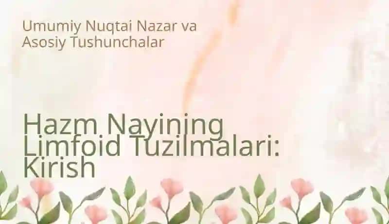 Hazm nayining limfoid tuzilmalari 3