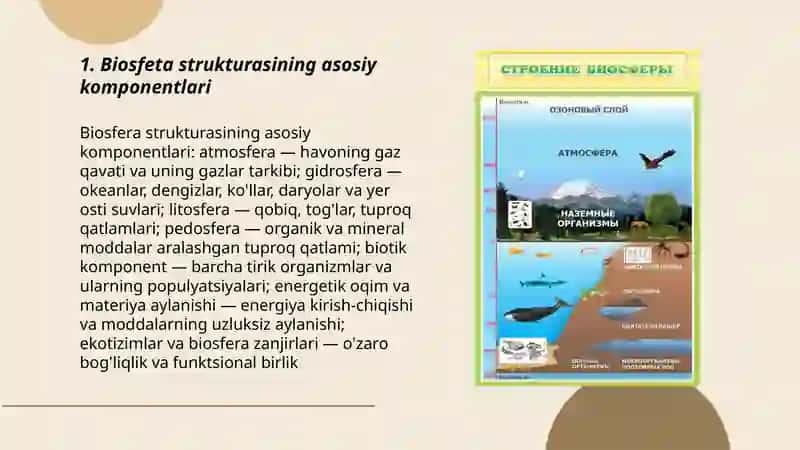 Biosfeta strukturasi 3