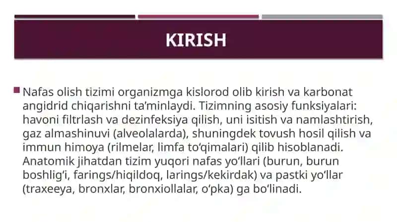 Nafas olish a’zolarining tuzilishi 3