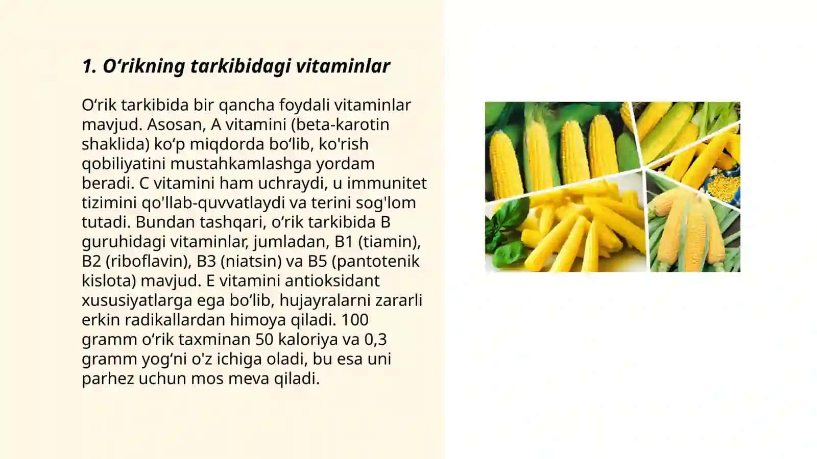 Tarkibida vitaminlar boʻlgan dorivor oʻsimliklar va mahsulotlar 3