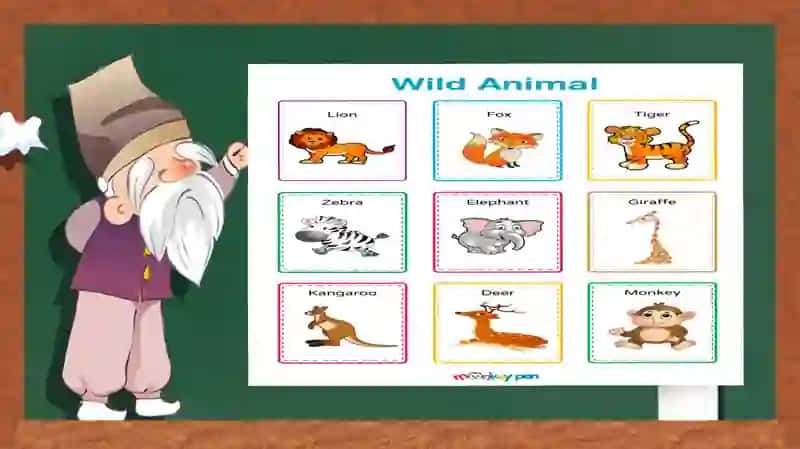 ANIMALSINENGLISH 3