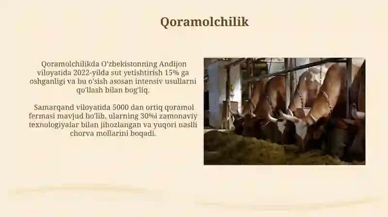 Qoramolchilik 3