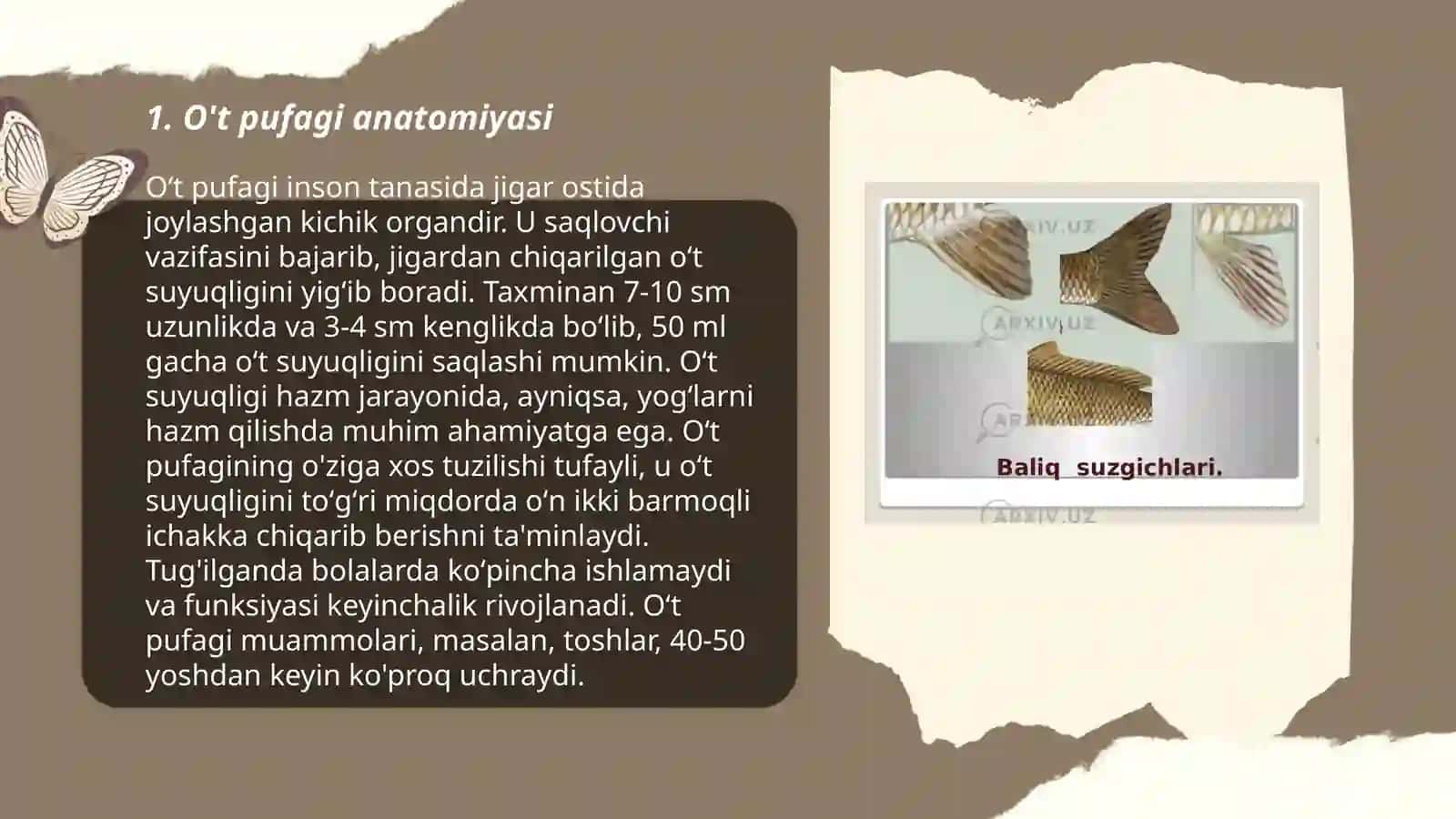 O't pufagi diskineziyasi 3