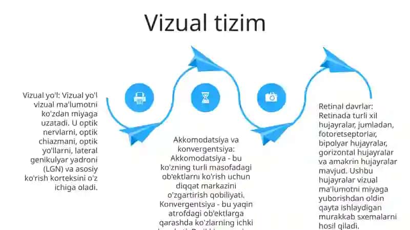 Somatosensor tizimi 3
