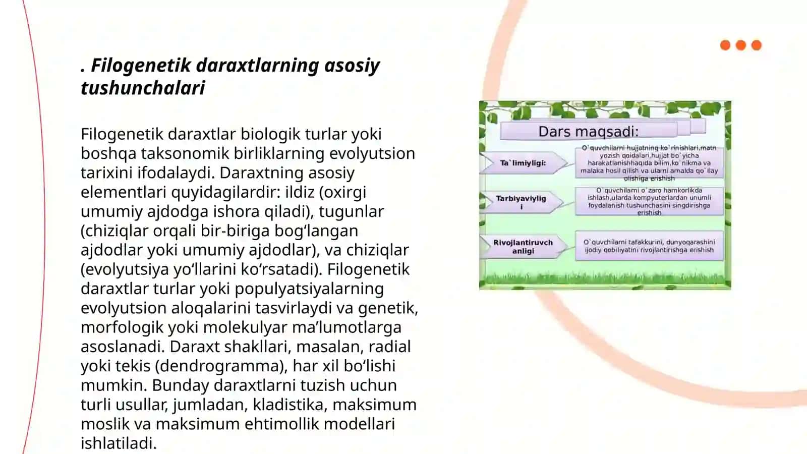 Filoginitik daraxtga oid masala va mashqlar tuzish hamda yechish metodikasiga doir taqdimot yaratish 3
