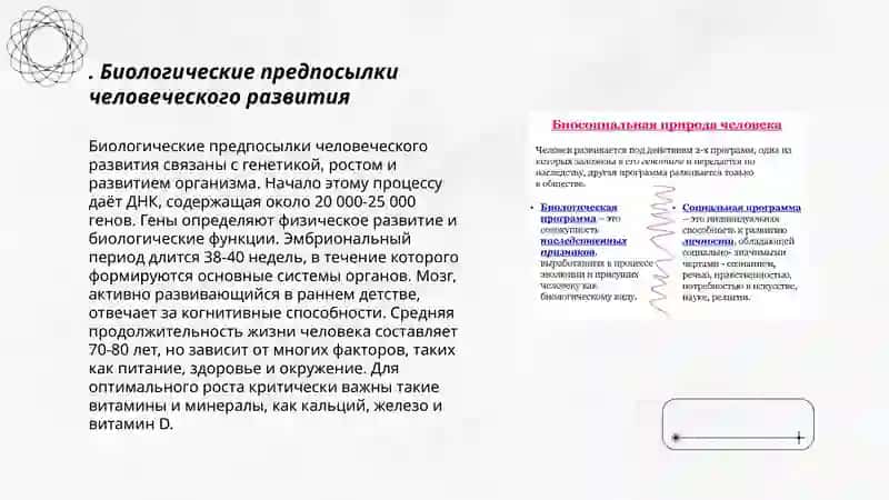 Биосоциальная природа человека 3