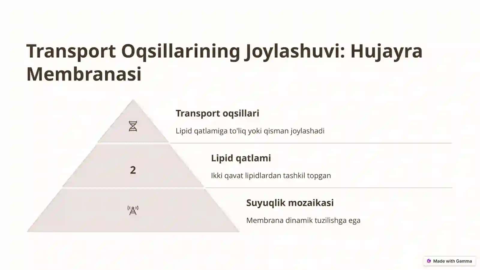 Transport Oqsillarini Hujayrada Joylanishi va Funksiyasi 3
