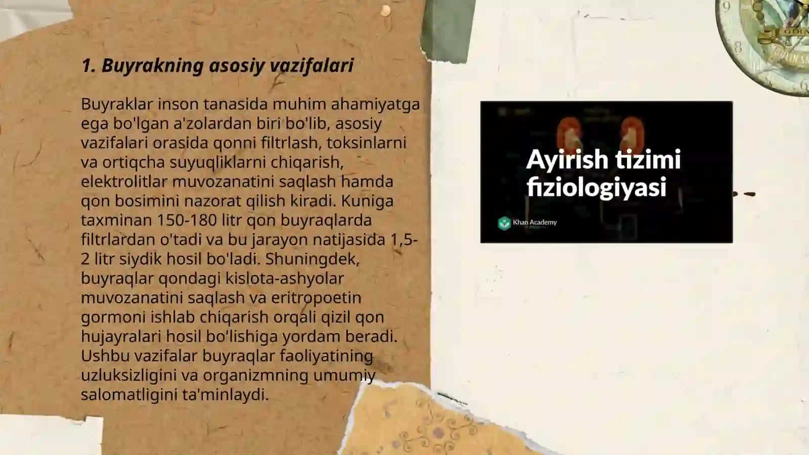 Ayiruv sistemasi. Buyrak fiziologiyasi 3