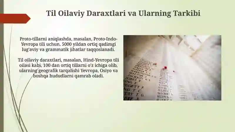 Til O'zgarishlarining Taqqoslash Analizi 3